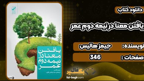 دانلود کتاب یافتن معنا در نیمه دوم عمر جیمز هالیس