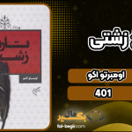 تاریخ-زشتی