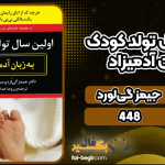 دانلود کتاب اولین سال تولد کودک به زبان آدمیزاد جیمز گی‌لورد